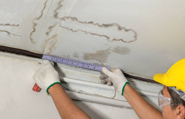 Reliable Burst Pipe Cleanup contractor in Houston, MN by Water Damage Irwin